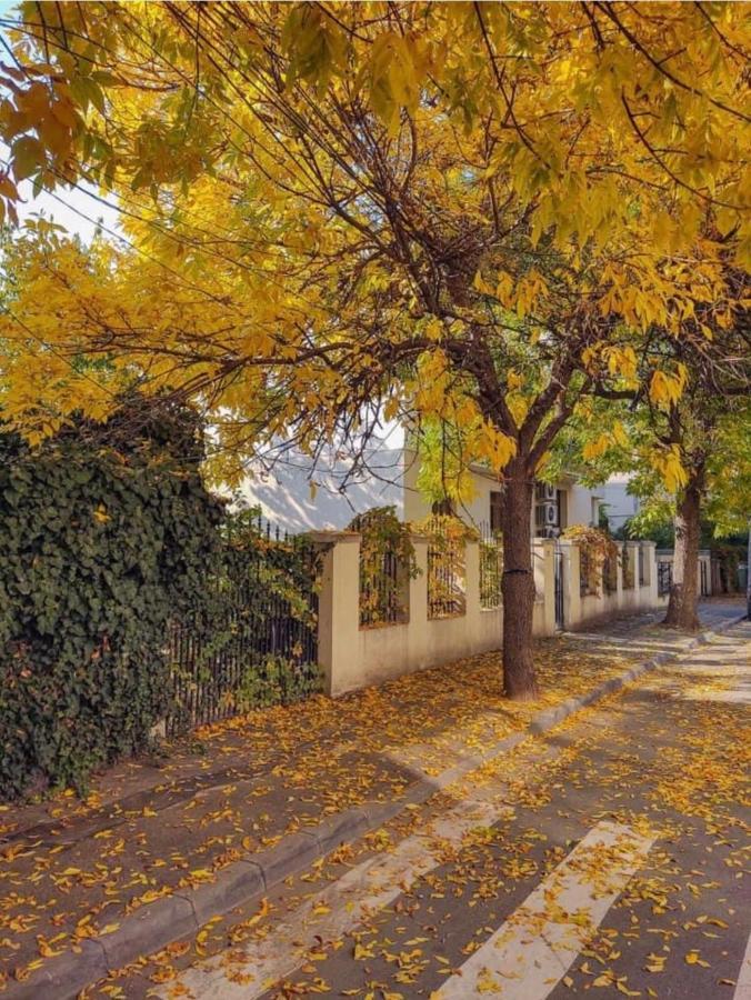 Charming Place Cotroceni Бухарест Екстер'єр фото